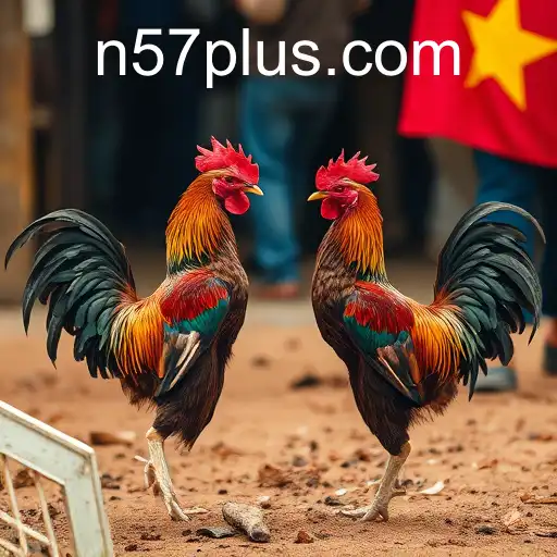 The Complex World of Cockfighting and Its Global Impact